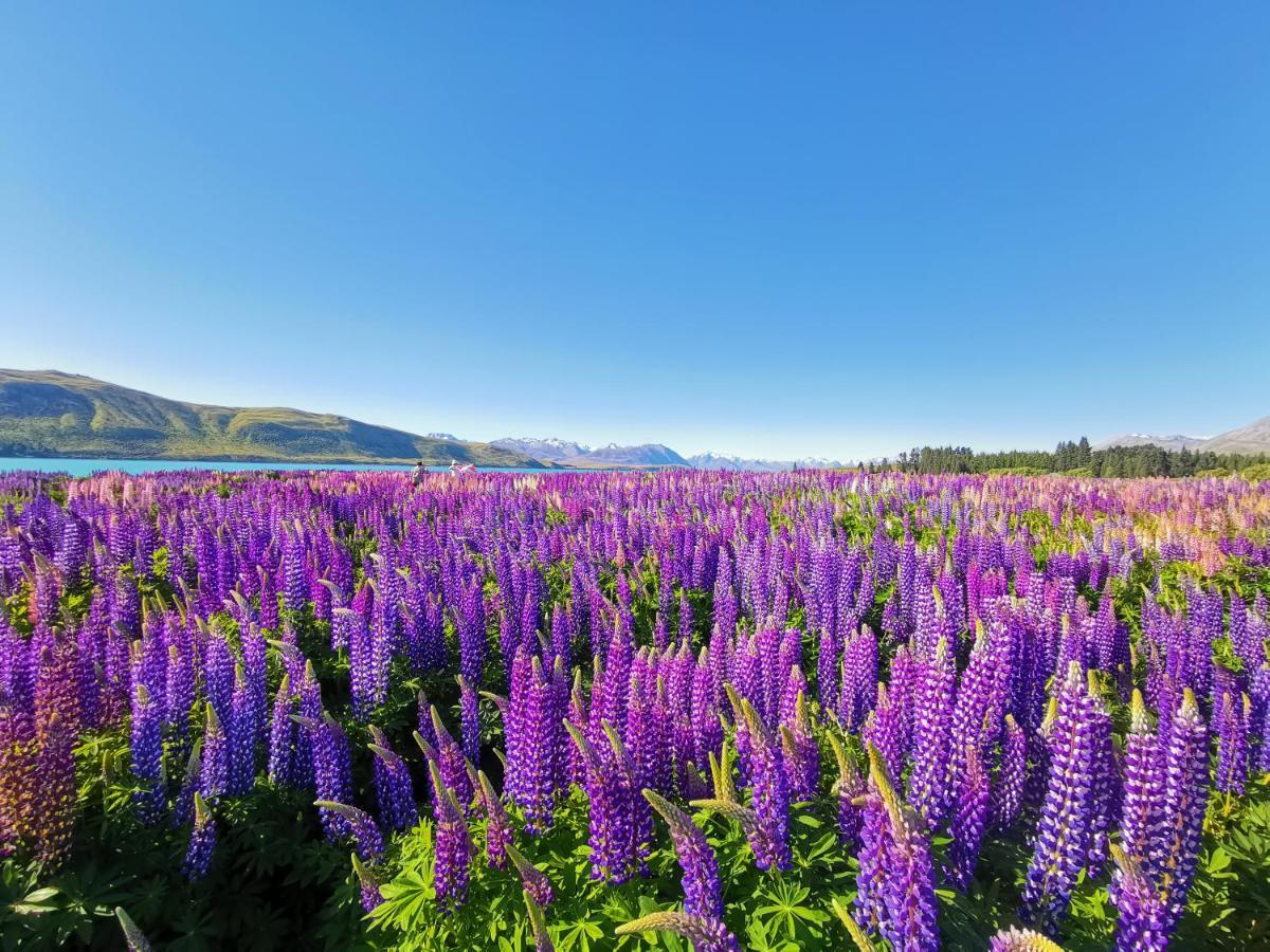 Skyrim Lodge Lake Tekapo Eksteriør bilde